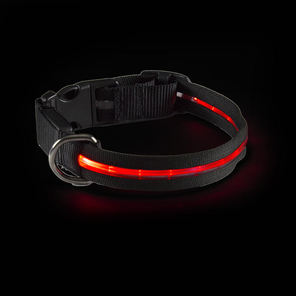 Light Up Dog Collar-